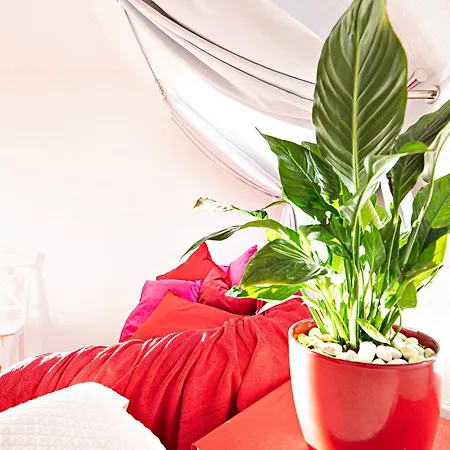 Apartament Heart Bled